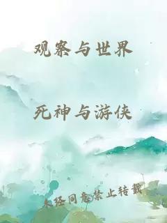 观察与世界