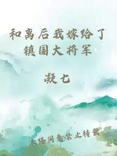 和离后我嫁给了镇国大将军